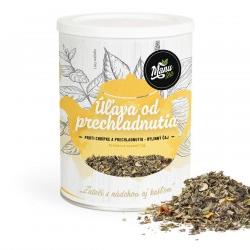 ÚĽAVA OD PRECHLADNUTIA - bylinný čaj 120g