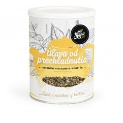 ÚĽAVA OD PRECHLADNUTIA - bylinný čaj 120g
