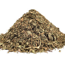 BAZALKA VŇAŤ+LIST (Ocimum basilicum)