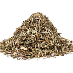 LIPKAVEC VŇAŤ (Galium verum) - bylina