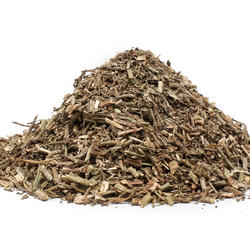 ŽELEZNÍK VŇAŤ (Herba verbenae) - bylina