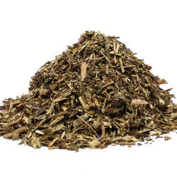 VRBOVKA VŇAŤ (Epilobium parviflorum) - bylina