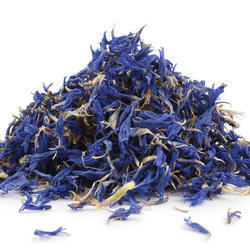 NEVÄDZA KVET (Centaurea cyanus) - bylina