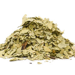 Senna vňať+list (Cassia angustifolia) - bylina