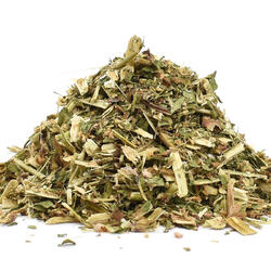 Rdesno blšník vňať (Persicaria lapathifolia) - bylina