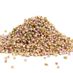 Vres kvet (Calluna vulgaris flos) - bylina