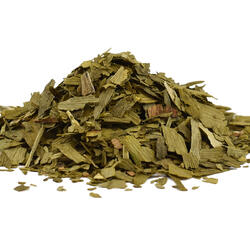 GINKGO LISTY - bylina