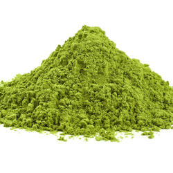 Kagoshima Matcha Premium Select BIO - zelený čaj