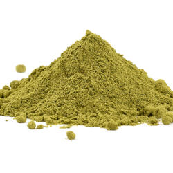 Brasil Yerba Mate Green BIO - prášok