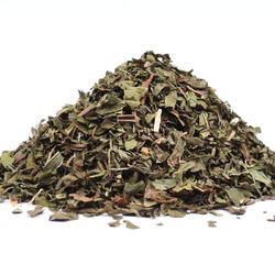 Mäta pieporná (Mentha piperita)
