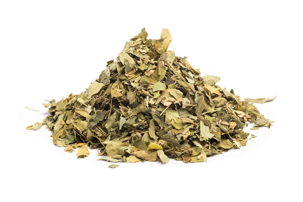 E-shop MORINGA LISTY - bylina, 100g