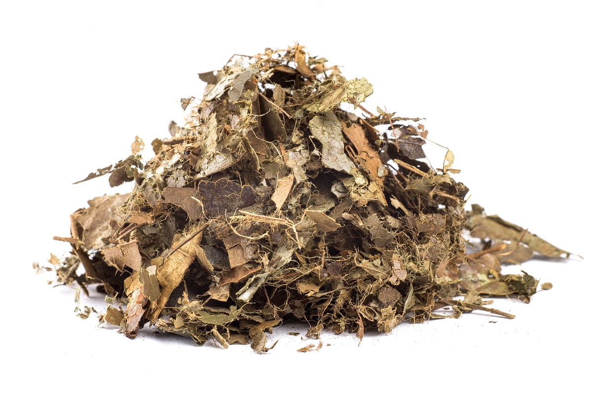 E-shop GRAVIOLA ANONA - bylina (guanabana), 100g